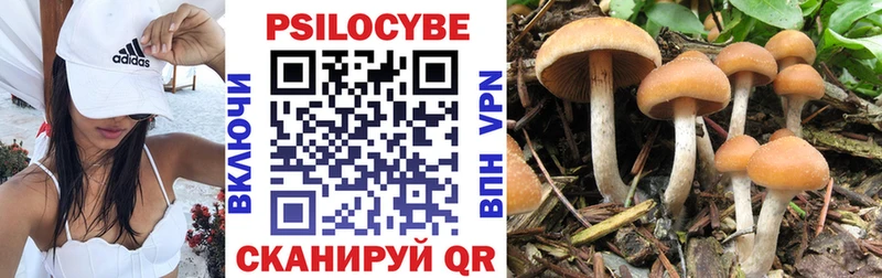 Галлюциногенные грибы Psilocybe  Купить где  Новоаннинский 
