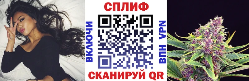 Бошки Шишки планчик Купить Новоаннинский